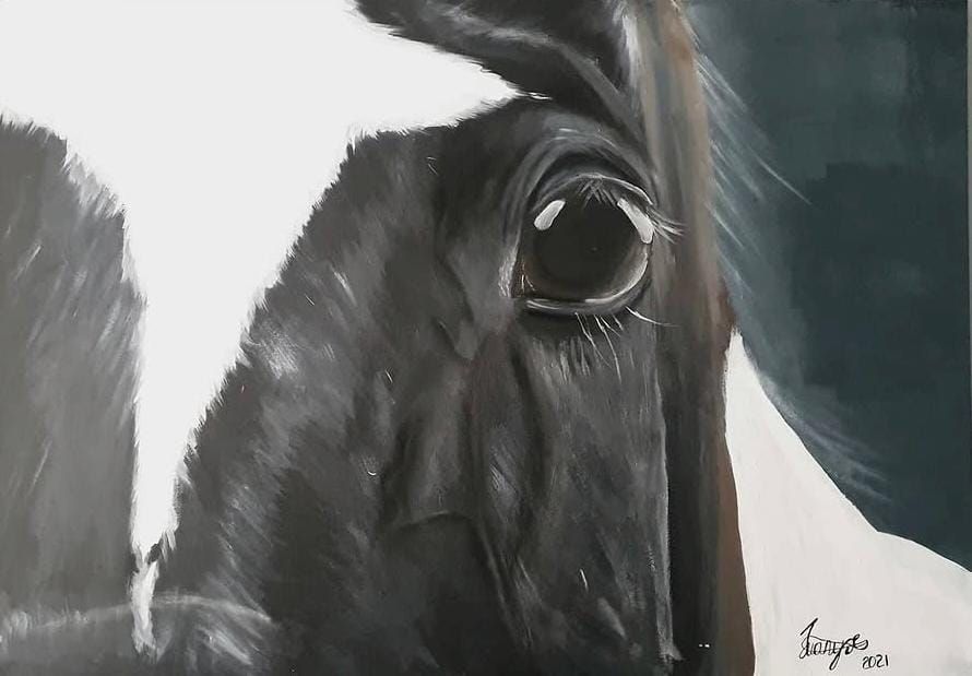 Close-up painting of a black and white horse's eye